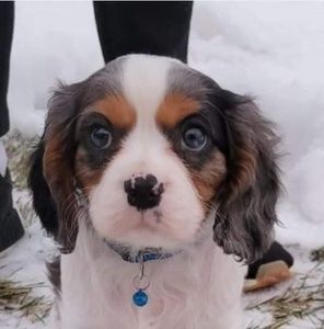 Meet your Posher, Marilyn